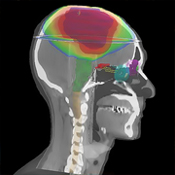 Neuroscience