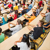 Interdisciplinary Studies
